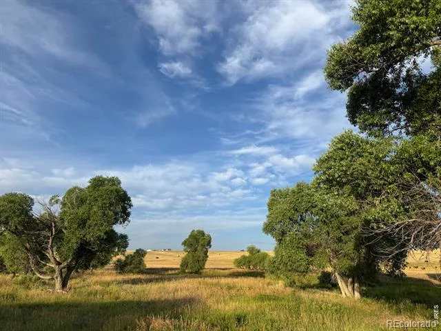 29643 County Road 17/21 Elizabeth, CO 80107