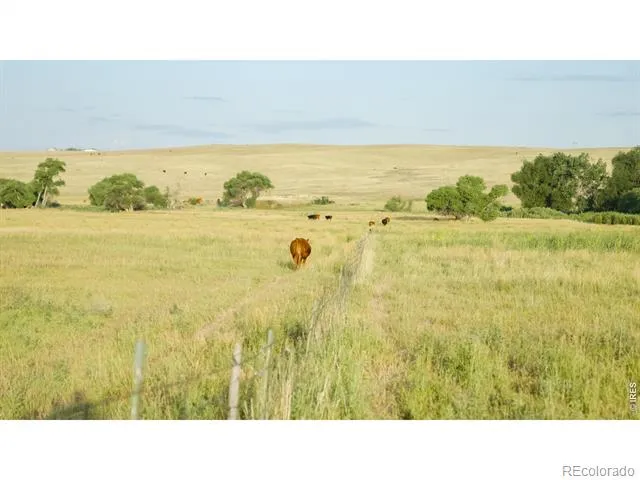 29643 County Road 17/21 Elizabeth, CO 80107