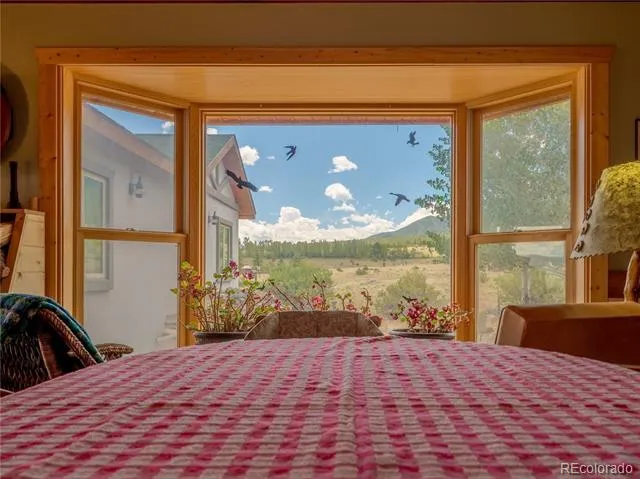 27045 County Road 342 Buena Vista, CO 81211