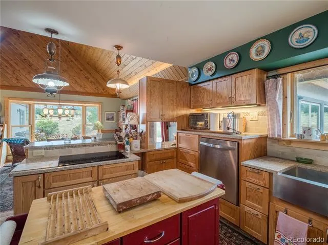 27045 County Road 342 Buena Vista, CO 81211