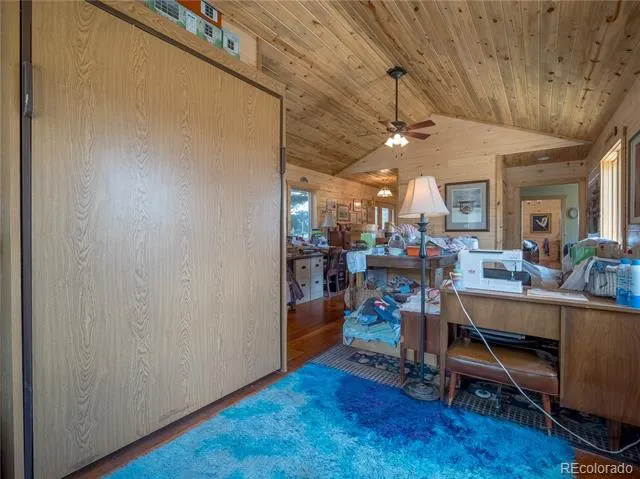 27045 County Road 342 Buena Vista, CO 81211