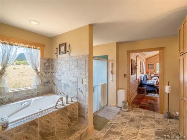 27045 County Road 342 Buena Vista, CO 81211