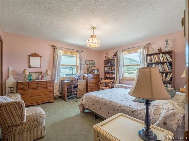 27045 County Road 342 Buena Vista, CO 81211