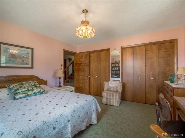 27045 County Road 342 Buena Vista, CO 81211