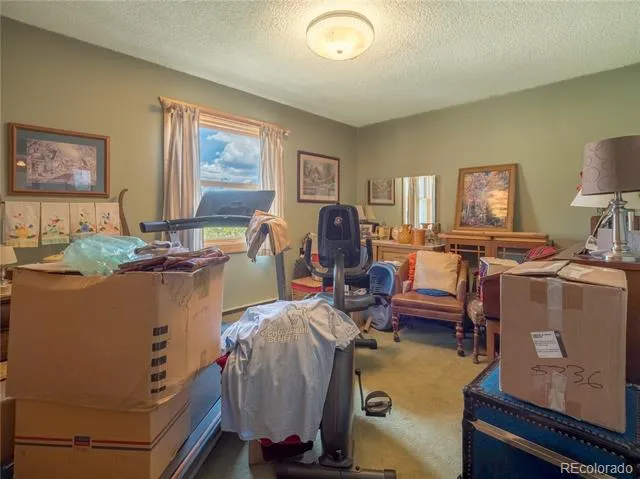 27045 County Road 342 Buena Vista, CO 81211