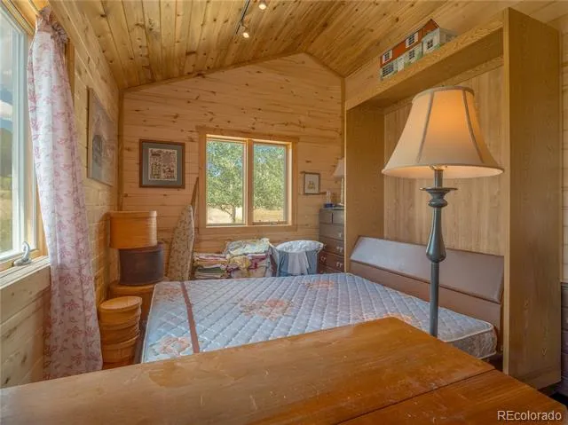 27045 County Road 342 Buena Vista, CO 81211