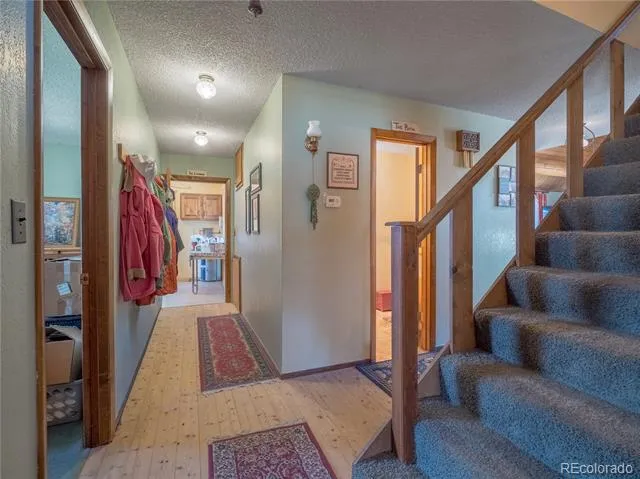 27045 County Road 342 Buena Vista, CO 81211