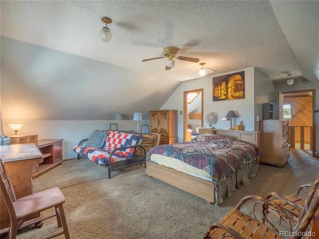 27045 County Road 342 Buena Vista, CO 81211