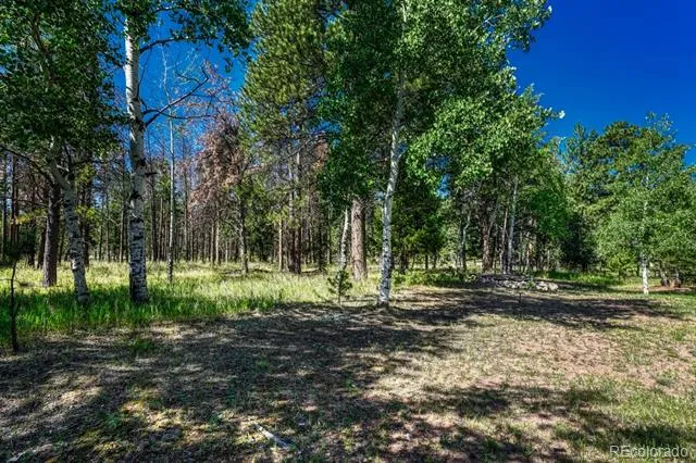 115 Hawkridge Drive Woodland Park, CO 80863