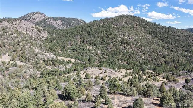 2050 Coyote Spur Golden, CO 80403