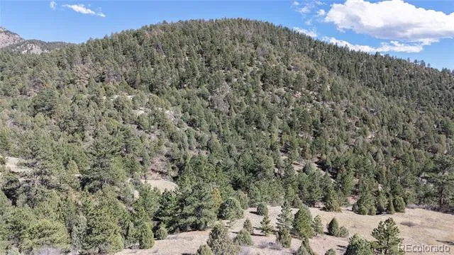 2050 Coyote Spur Golden, CO 80403