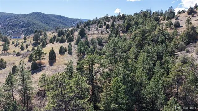 2050 Coyote Spur Golden, CO 80403