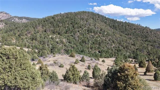 2050 Coyote Spur Golden, CO 80403