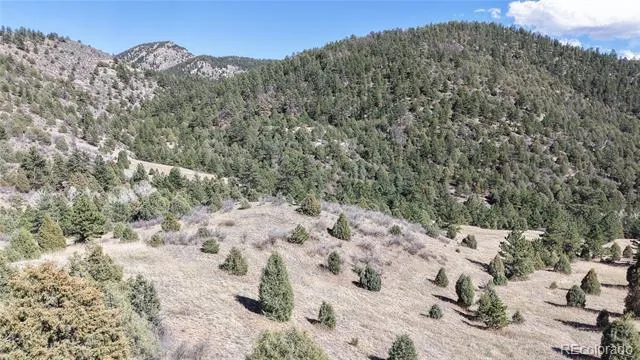 2050 Coyote Spur Golden, CO 80403