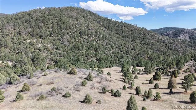 2050 Coyote Spur Golden, CO 80403