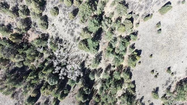 2050 Coyote Spur Golden, CO 80403
