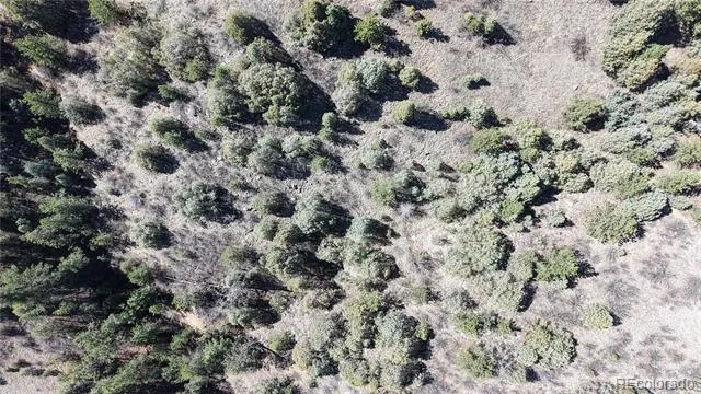 2050 Coyote Spur Golden, CO 80403