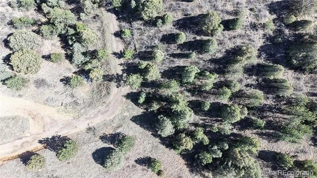 2050 Coyote Spur Golden, CO 80403