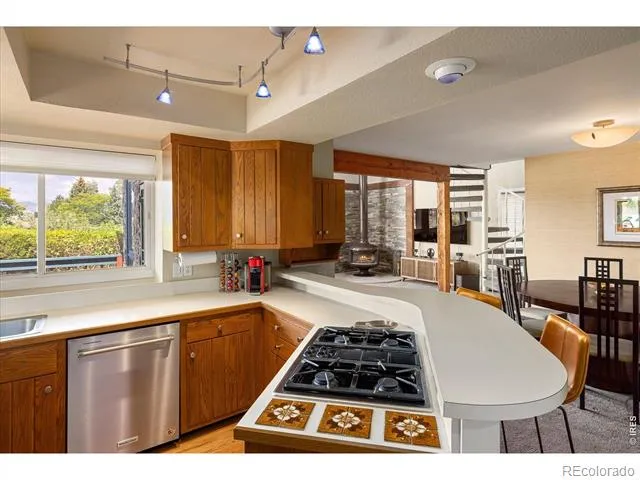 1032 Ridglea Way Boulder, CO 80303