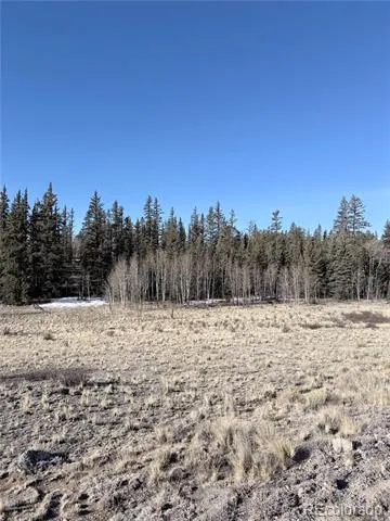 50 Rawhide Way Jefferson, CO 80456