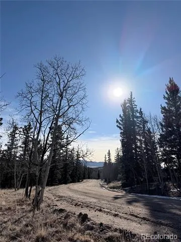 50 Rawhide Way Jefferson, CO 80456