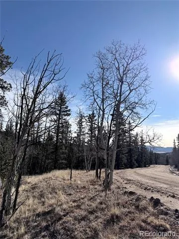 50 Rawhide Way Jefferson, CO 80456