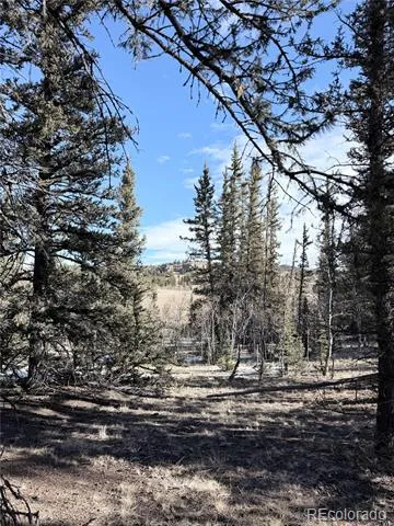 50 Rawhide Way Jefferson, CO 80456