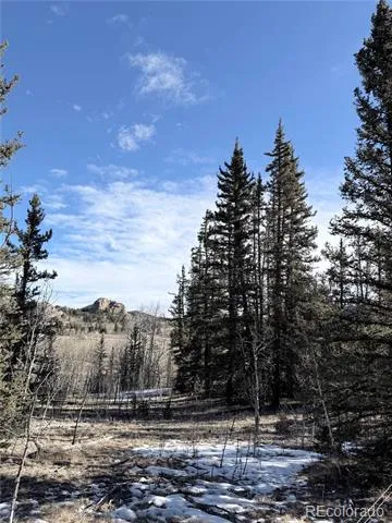 50 Rawhide Way Jefferson, CO 80456