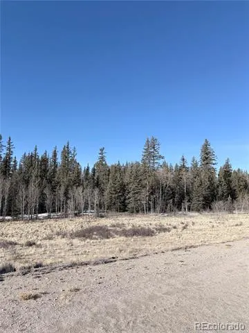 50 Rawhide Way Jefferson, CO 80456