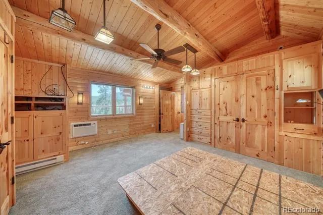 19290 Mountain View Drive Buena Vista, CO 81211