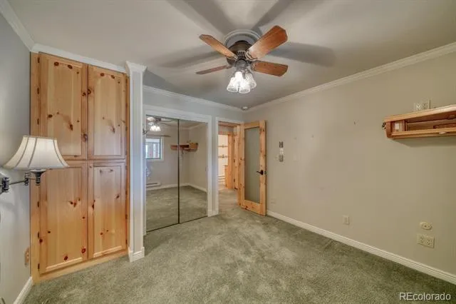 19290 Mountain View Drive Buena Vista, CO 81211