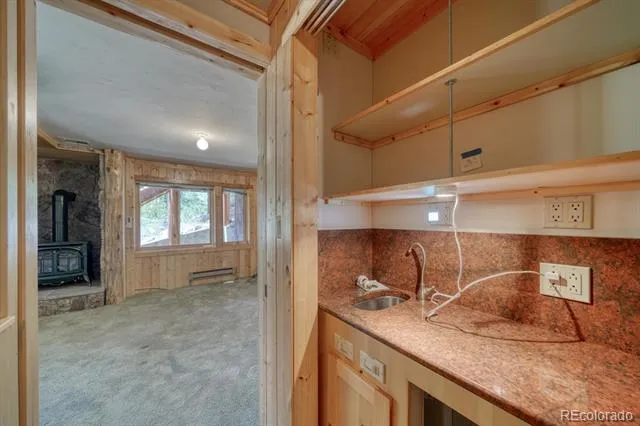 19290 Mountain View Drive Buena Vista, CO 81211