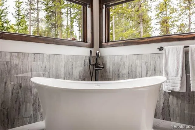 11 Dyer Trail Breckenridge, CO 80424