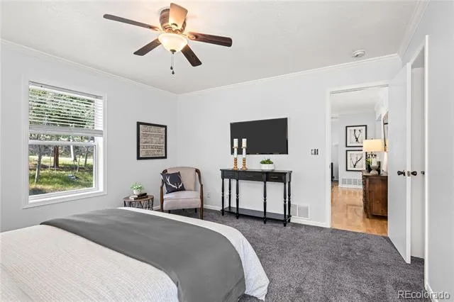 216 Nero Road Black Hawk, CO 80422