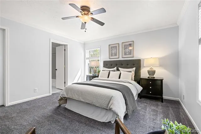 216 Nero Road Black Hawk, CO 80422