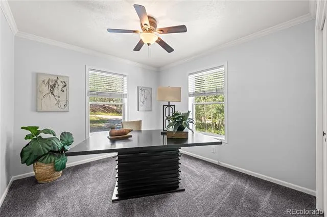 216 Nero Road Black Hawk, CO 80422