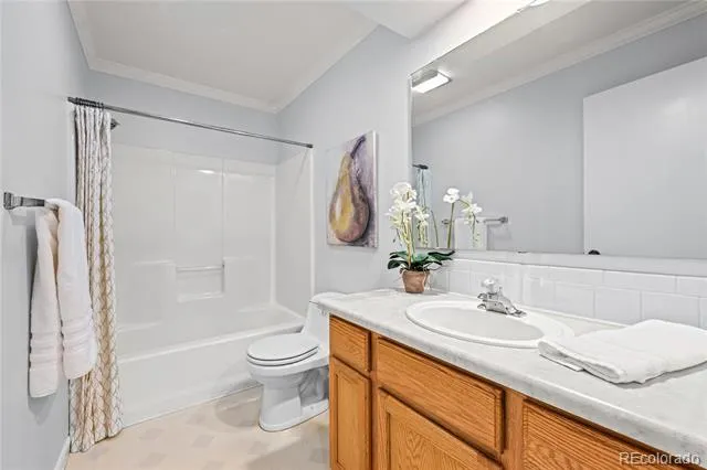 216 Nero Road Black Hawk, CO 80422