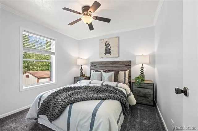 216 Nero Road Black Hawk, CO 80422
