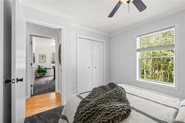 216 Nero Road Black Hawk, CO 80422