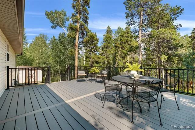 216 Nero Road Black Hawk, CO 80422