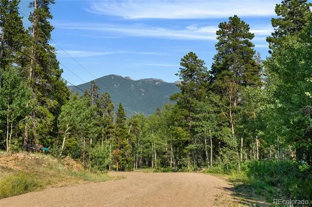 216 Nero Road Black Hawk, CO 80422