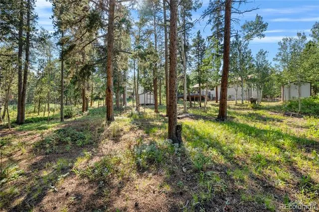 216 Nero Road Black Hawk, CO 80422
