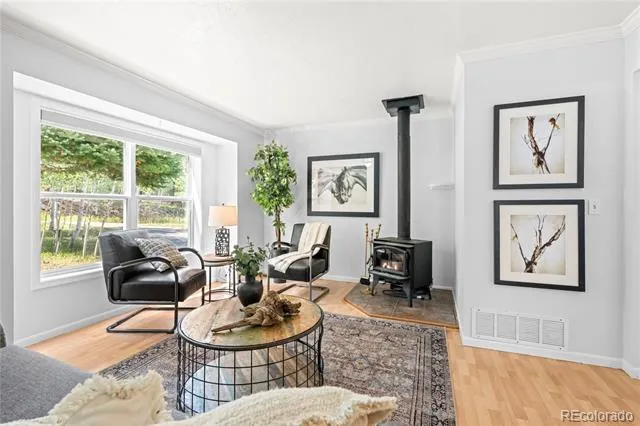 216 Nero Road Black Hawk, CO 80422