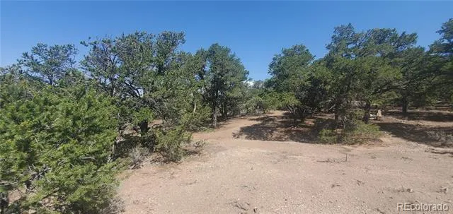 Lot 1412 Michaels Road Fort Garland, CO 81133