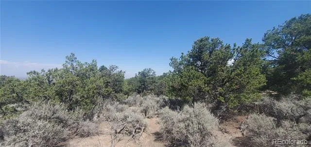 Lot 1412 Michaels Road Fort Garland, CO 81133