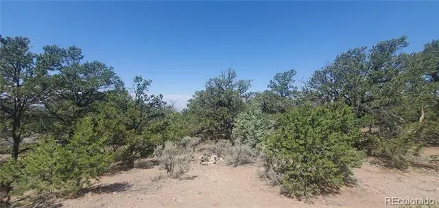 Lot 1412 Michaels Road Fort Garland, CO 81133
