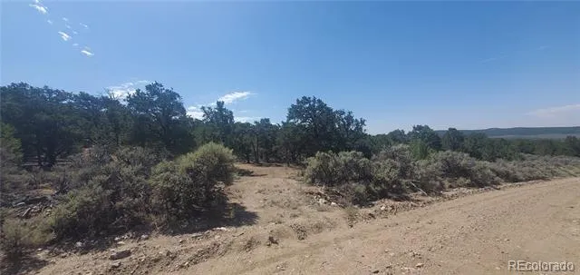 Lot 1412 Michaels Road Fort Garland, CO 81133