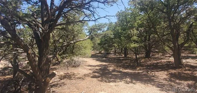 Lot 1412 Michaels Road Fort Garland, CO 81133
