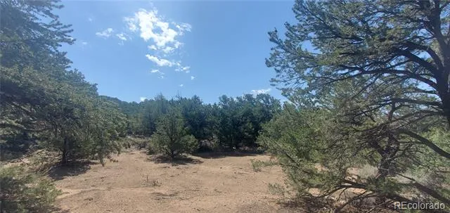 Lot 1412 Michaels Road Fort Garland, CO 81133