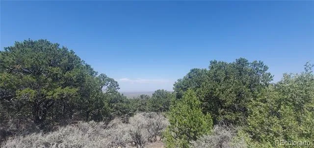 Lot 1412 Michaels Road Fort Garland, CO 81133